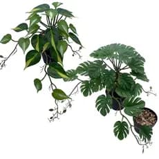 Plantas Suspensas De Pothos Falsos-Videiras De Hera De Seda De Planta Monstera Artificial , Vegetação Falsa Realista Par