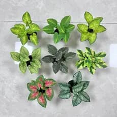 Mini Plantas Em Vasos Pequenos Artificiais Estéticos | Decoração De Mesa Para Prateleira De Quarto De Escritório Domésti