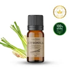 Óleo Essencial de Citronela 10ml