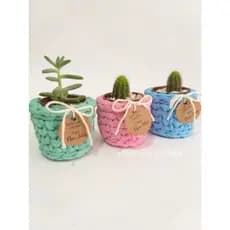 porta suculentas, mini cschepo, lenbrancinhas personalizadas.