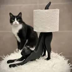 Suporte Criativo Para Papel Higiênico De Gato Que Se Estica