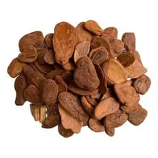 Casca de Pinus Polida 600g