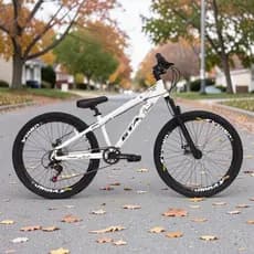 Bicicleta Aro 26 Gta Rebel Freeride Downhill Single 7v Rodas Vmaxx Freio a Disco Pneu Flame