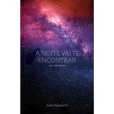 A Noite vai te Encontrar ( Livro Semi Novo)