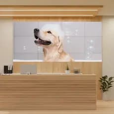 Painel Adesivo Decorativo Pet Shop Veterinário Cachorros Gatos Banho e Tosa