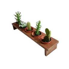 Vaso De Planta / Suporte Para Planta - Vaso Planta - Suporte Madeira / Vaso Madeira- Vasinho Para Planta