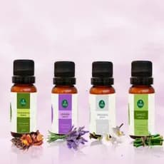 Kit 4 un Essência Aromatizador Difusor Elétrico à Base Água 20ml Vários Aromas