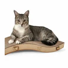 Arranhador Ergonômico para Gatos Resistente Bonito e Confortável para seu Pet