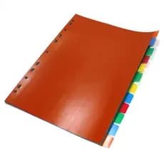 Divisórias Para Fichário Caderno Argolado Universitário Colorido 22,5 x 29,7cm  - ACP