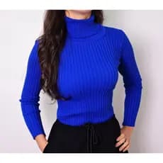 Blusa Blusinha Tricot Modal Gola Alta Manga Comprida /Coleção Nova / Manga Longa / Envio 24hrs