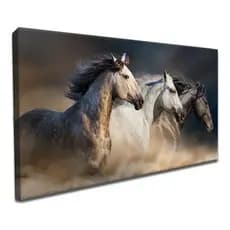 quadro decorativo cavalos selvagens.