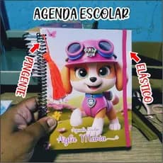 AGENDA ESCOLAR (CAPA DURA + NOME, ATUALIZADA)