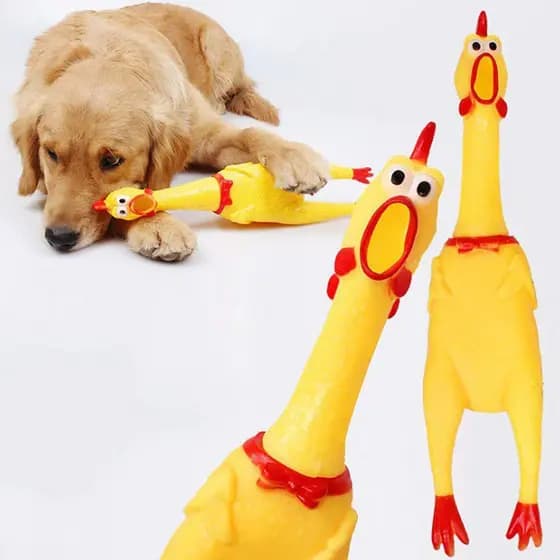 Brinquedo Franguinho Pet Vinil Amarelo - Galinha, frango