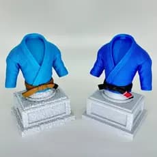 Troféu Kimono Jiu-Jitsu Personalizado tamanho12c | Faixa branca azul,roxa,Preta ou Marrom | Presente para Atletas e Prof