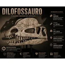 Crânio de Dinossauro Dilofossauro 3D Grande Realista | Decoração Jurássica | Dinossauro Colecionável | Presente Criativo