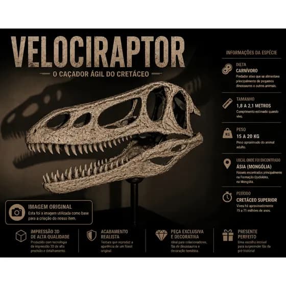 Crânio de Dinossauro Velociraptor 3D Grande com Suporte Decoração Geek e Científica Estilo Museu | Opção Pintura Fóssil
