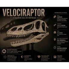 Crânio de Dinossauro Velociraptor 3D Grande com Suporte Decoração Geek e Científica Estilo Museu | Opção Pintura Fóssil
