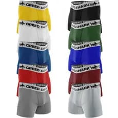kit 10 Cueca Box Boxer Masculina Microfibra Qualidade AAA Lisa ou Kit com 05 Cuecas