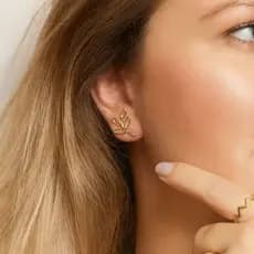 Brinco Ear Cuff Folhagem Banhado A ouro 18k Antialergico
