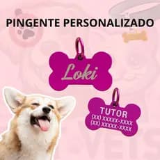 Medalha Pingente Identificação Tag Colorida Cachorro Pet