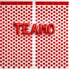 Kit Decoração Dia dos Namorados Cortina Coração 2 x1m + Balão Te Amo 40cm  Lembrançinha Presente
