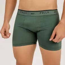 Kit 2 Cueca Boxer Box Pollo Adulto Poliamida Conforto Qualidade