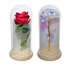 Luminária de Led Rosa com Cúpula de Acrílico A Bela e a Fera Natal Dia Das Mães Dia Dos Namorados