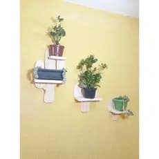 suporte para plantas de cactos 🌵