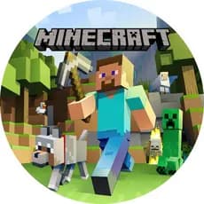 Capa Mini Painel Redondo Festa Tema Minecraft 50x50