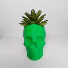 Vasos para plantas Suculenta 9 cm Caveira Planta