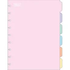 DIVISORIA CADERNO DE DISCO COLEGIAL 9 FUROS COLORIDO COM 6 TILIBRA
