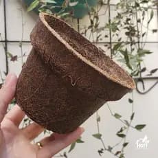 Vaso Para Plantas Em Fibra De Coco Coquim Cônico Nº5 (12x9cm)