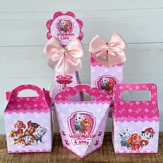 Kit Festa Patrulha Canina Rosa Skye | Pegue e Monte | Personalizados | Lembrancinhas | Festa infantil | Aniversário