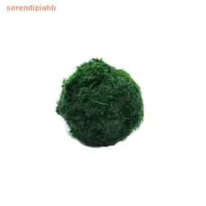 [serendipiahb] Bolas De Musgo Marimo De 3-4 Cm Planta De Aquário Vivo Algas Peixe Camarão Tanque Ornamento Simulação Ver