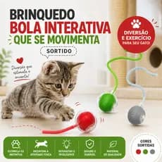 Brinquedo Bola Interativa Recarregável USB para Gatos e Cães com Cordão Automática que se Movimenta Sortida