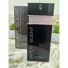 Silver Scent Masculino Marcante - 100ml - Pronta Entrega