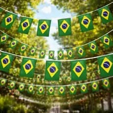 Varal Bandeiras do Brasil 6m em Tecido 🇧🇷 | Decoração Copa do Mundo, Festa Futebol, Bandeirinhas Brasil