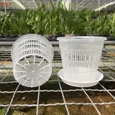 Quente 11/14cm Pote De Malha Controle Raiz Transparente Para Orquídea Flor Respirável Recipiente Crescimento Jardim Vaso