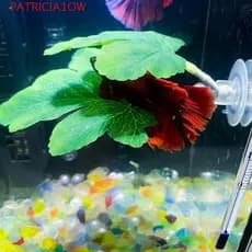 PATRICIA1OW Folha De Descanso De Peixe Betta , Paisagismo De Aquário Simulado Criativo , Desova De Peixes De Plástico