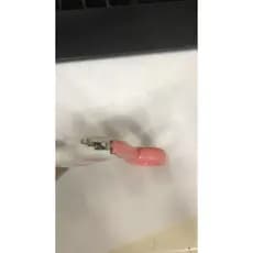 Cortador de Unhas Alicate Gatos Cães e Pequenos Animais com Luz !