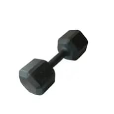 Halter Sextavado Ferro 10Kg