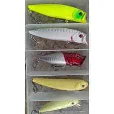 5 Iscas Artificiais + Estojo Para Transporte Para Pesca De Tucunaré, Traíra,Robalo e Peixes Do Mar