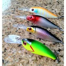 2 Iscas Artificiais Pesca de Fundo Dourado Surubim Cachara Pintado Jaú Tucunaré Açu Trairões Robalo