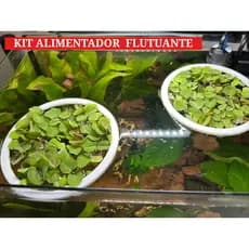 Kit 3 Anéis Alimentadores de Precisão (7cm, 9cm e 11cm) - Peixes aquario