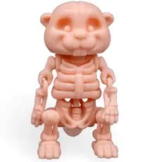 Castor Articulado Brinquedo Esqueleto Fidget Fóssil Osso