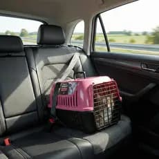 Caixa Transporte Coelho Gato Cachorro Viagem Segura N1