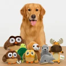 Brinquedo Mordedor de Pelúcia Cachorro Gato Pets Animais Mastigar Cães