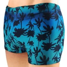 Sunga Adulto Boxer Box Masculina Promoção Grappin