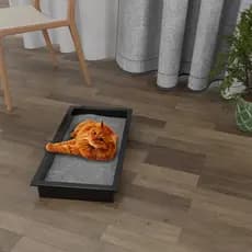 Caixa de areia para Gato Higiênica Grande 33 x 60 cm - Ômega