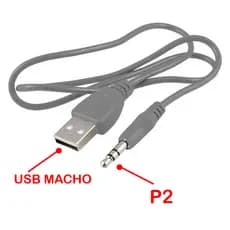 CABO P2 MACHO x USB MACHO - 1,70 METROS